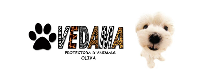 First Vedama logo